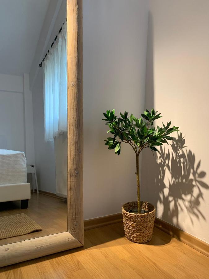 Kanálion Casa Brucie - New Stylish Apartment In Corfu! מראה חיצוני תמונה